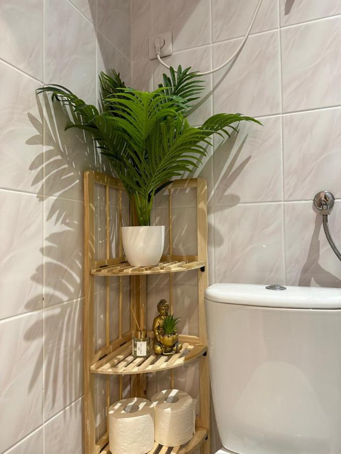 Apartament Piaskowy Kollataja Tomaszów Mazowiecki 外观 照片